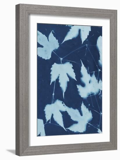 Cyanotype No.10-Renee W. Stramel-Framed Art Print