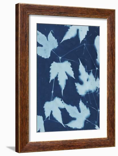 Cyanotype No.10-Renee W. Stramel-Framed Art Print