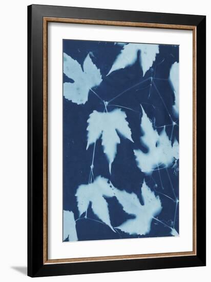 Cyanotype No.10-Renee W. Stramel-Framed Art Print