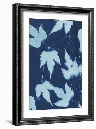 Cyanotype No.10-Renee W. Stramel-Framed Art Print