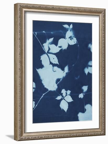 Cyanotype No.11-Chariklia Zarris-Framed Art Print