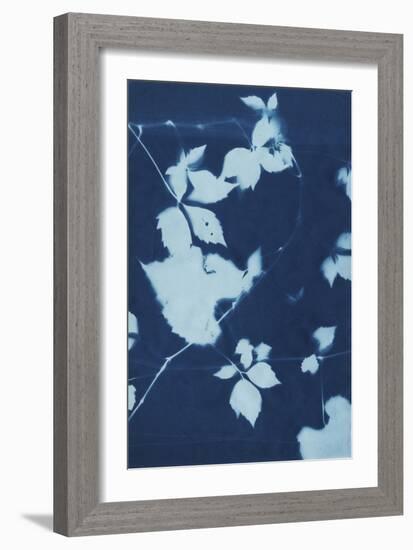 Cyanotype No.11-Chariklia Zarris-Framed Art Print