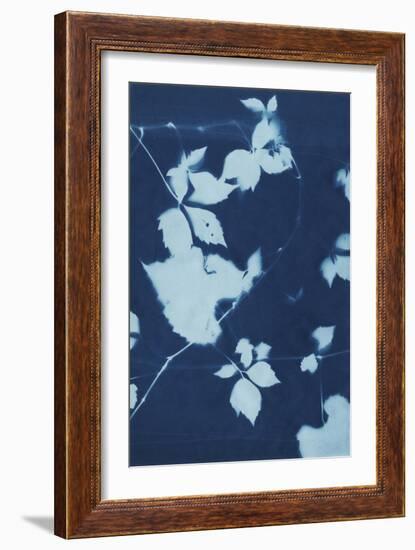 Cyanotype No.11-Chariklia Zarris-Framed Art Print