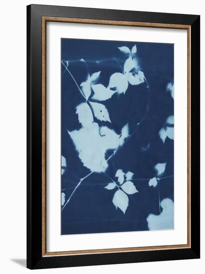 Cyanotype No.11-Chariklia Zarris-Framed Art Print