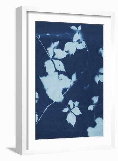 Cyanotype No.11-Chariklia Zarris-Framed Art Print