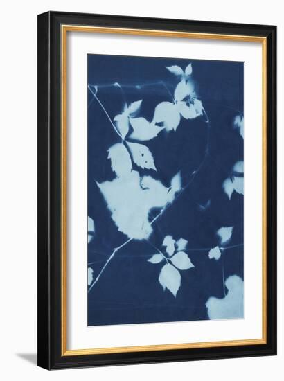 Cyanotype No.11-Chariklia Zarris-Framed Art Print