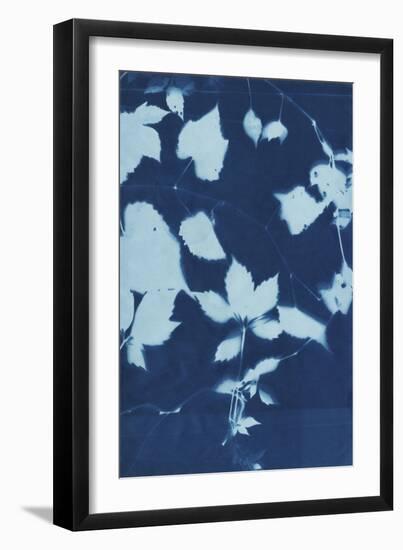 Cyanotype No.12-Chariklia Zarris-Framed Art Print