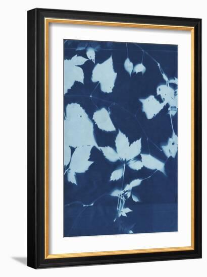 Cyanotype No.12-Chariklia Zarris-Framed Art Print