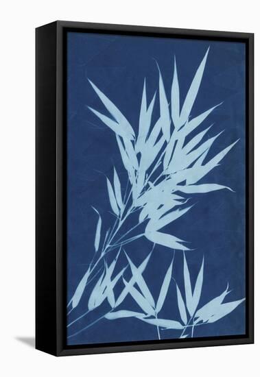 Cyanotype No.1-Renee W. Stramel-Framed Stretched Canvas