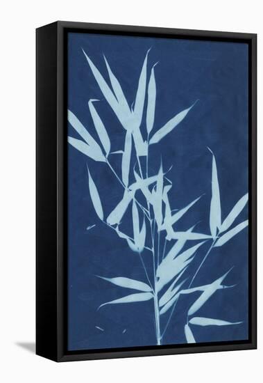 Cyanotype No.2-Renee W. Stramel-Framed Stretched Canvas