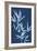 Cyanotype No.2-Renee W. Stramel-Framed Art Print