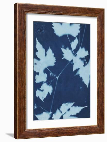 Cyanotype No.9-Renee W. Stramel-Framed Art Print