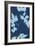 Cyanotype No.9-Renee W. Stramel-Framed Art Print