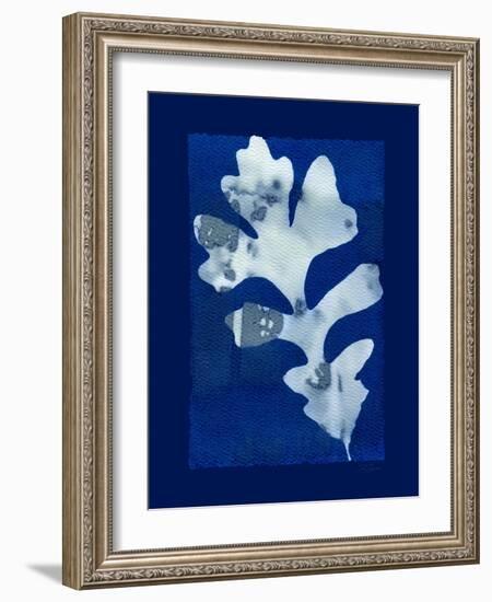 Cyanotype Oak-Dan Zamudio-Framed Art Print