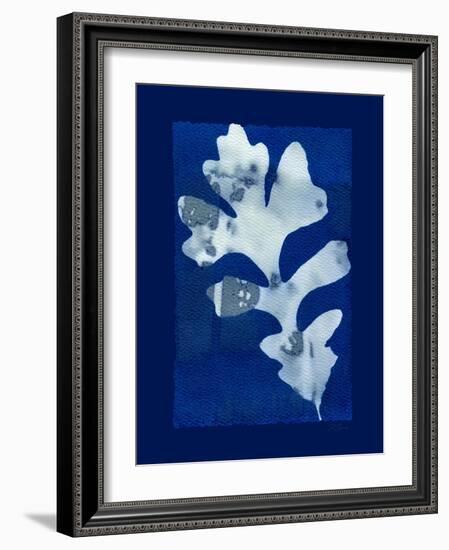 Cyanotype Oak-Dan Zamudio-Framed Art Print