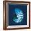 Cyanotype Sea I-Sue Schlabach-Framed Art Print