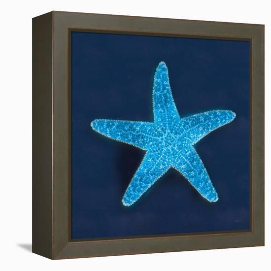 Cyanotype Sea III-Sue Schlabach-Framed Stretched Canvas