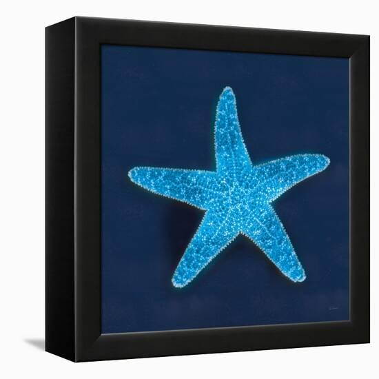 Cyanotype Sea III-Sue Schlabach-Framed Stretched Canvas