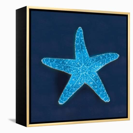 Cyanotype Sea III-Sue Schlabach-Framed Stretched Canvas