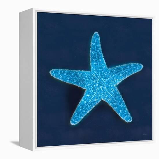 Cyanotype Sea III-Sue Schlabach-Framed Stretched Canvas