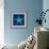 Cyanotype Sea III-Sue Schlabach-Framed Art Print displayed on a wall