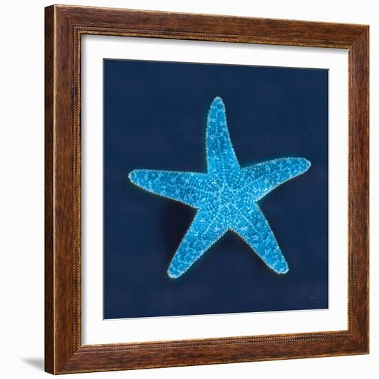 Cyanotype Sea III-Sue Schlabach-Framed Art Print