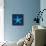 Cyanotype Sea III-Sue Schlabach-Mounted Art Print displayed on a wall