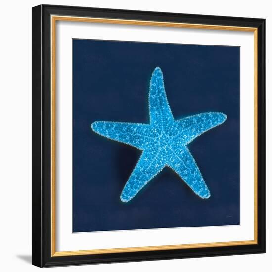 Cyanotype Sea III-Sue Schlabach-Framed Art Print