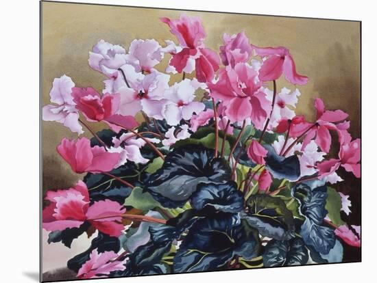 Cyclamen, 2004-Christopher Ryland-Mounted Giclee Print