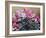 Cyclamen, 2004-Christopher Ryland-Framed Giclee Print