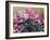 Cyclamen, 2004-Christopher Ryland-Framed Giclee Print