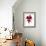 Cyclamen Dance, 2009-Julia McLemore-Framed Photographic Print displayed on a wall