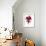 Cyclamen Dance, 2009-Julia McLemore-Framed Photographic Print displayed on a wall