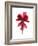 Cyclamen Dance-Julia McLemore-Framed Art Print