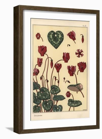 Cyclamen Plant, with Details of the Flower, Leaves, Petals, 1897 (Lithograph)-Eugene Grasset-Framed Giclee Print