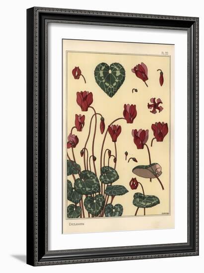 Cyclamen Plant, with Details of the Flower, Leaves, Petals, 1897 (Lithograph)-Eugene Grasset-Framed Giclee Print