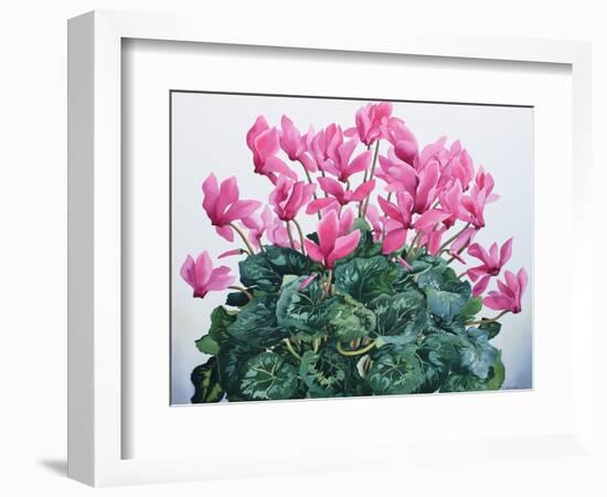 Cyclamen Portrait-Christopher Ryland-Framed Giclee Print