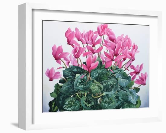 Cyclamen Portrait-Christopher Ryland-Framed Giclee Print