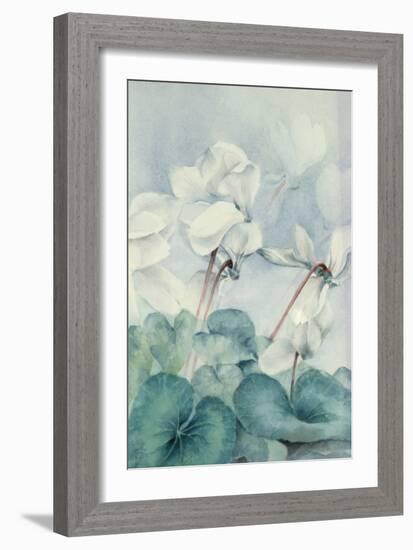 Cyclamen, Triumph White-Karen Armitage-Framed Giclee Print