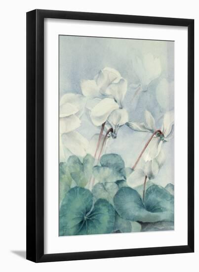 Cyclamen, Triumph White-Karen Armitage-Framed Giclee Print