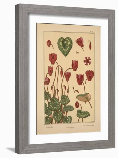 Cyclamen-null-Framed Giclee Print