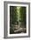 Cycle Avenue-Charles Bowman-Framed Photographic Print