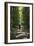 Cycle Avenue-Charles Bowman-Framed Photographic Print