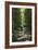 Cycle Avenue-Charles Bowman-Framed Photographic Print