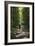 Cycle Avenue-Charles Bowman-Framed Photographic Print