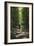 Cycle Avenue-Charles Bowman-Framed Photographic Print