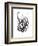 Cycles 001-Jaime Derringer-Framed Giclee Print