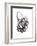 Cycles 001-Jaime Derringer-Framed Giclee Print