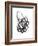 Cycles 001-Jaime Derringer-Framed Giclee Print