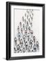 Cycling 364-Heather Blanton Fine Art-Framed Giclee Print